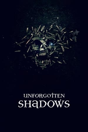Nonton Online Unforgotten Shadows (2013) indoxxi