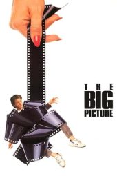 Nonton Online The Big Picture (1989) indoxxi