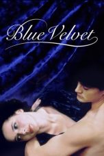 Nonton Online Blue Velvet (1986) indoxxi